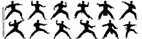 Fighter karate kung fu silhouette set vector design big pack of illustration and icon photo