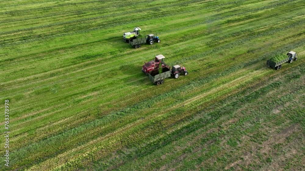 Forage harvester on grass cutting for silage in field. Cutting grass silage at field. Self-propelled Harvester on Hay making for cattle at farm. Tractor with trailer transport of hay grass silage. Forage harvester on grass cutting for silage in field. Cutting grass silage at field. Self-propelled Harvester on Hay making for cattle at farm. Tractor with trailer transport of hay grass silage.