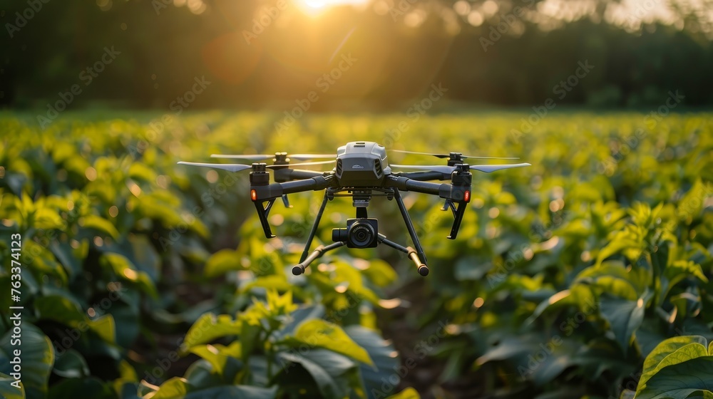 A drone hovers above vibrant greenhouse plants, utilizing the warm sunlight of the golden hour for effective surveying.