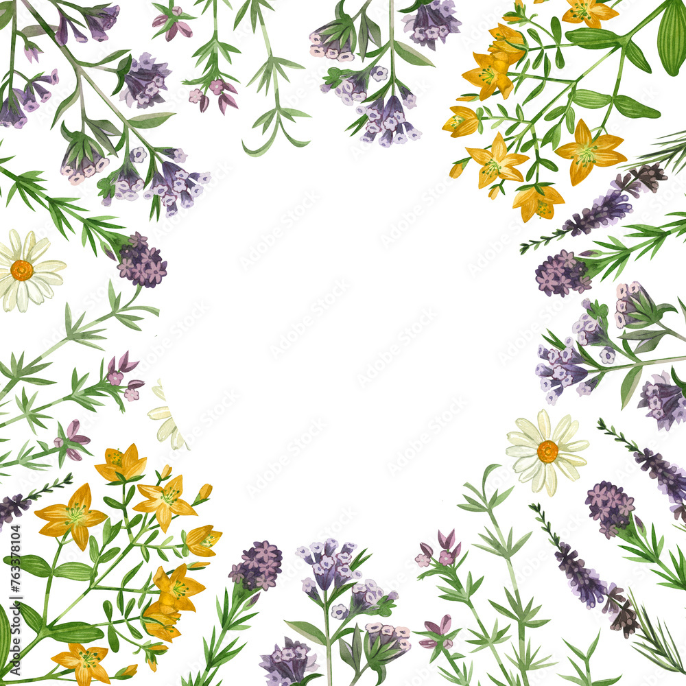 Watercolor illustration. Round frame of meadow herbs and flowers, oregano, oregano, hypericaceae hand drawn in green and purple watercolor. For printing on fabric, paper, design, scrapbooking.