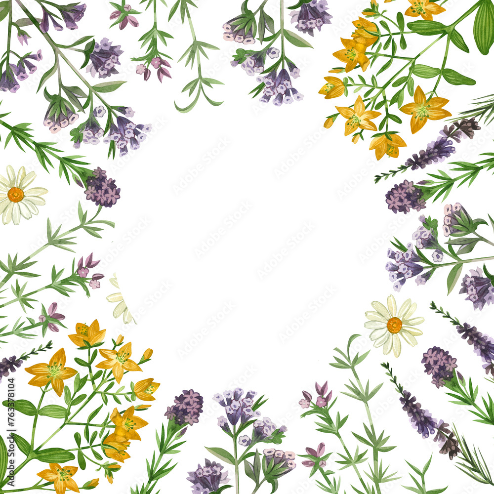 Naklejka premium Watercolor illustration. Round frame of meadow herbs and flowers, oregano, oregano, hypericaceae hand drawn in green and purple watercolor. For printing on fabric, paper, design, scrapbooking.