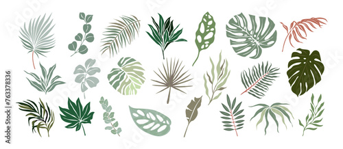 Set of Different tropical leaves elegant colorful vector drawings. Hand drawn botanical illustrations for greeting, invitation cards, logo, packaging design isolated on transparent background. © Creative_Juice_Art