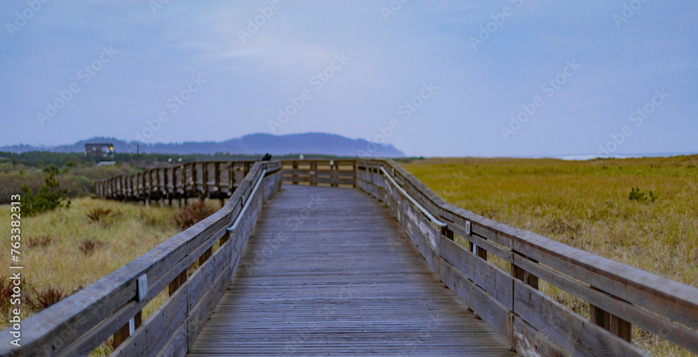 View of wooden boardwalk trail across the beach grass wetland, leading to the beach; Longbeach, Washington, United States of America View of wooden boardwalk trail across the beach grass wetland, leading to the beach; Longbeach, Washington, United States of America