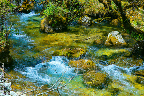 Jiuzhaigou Valley  Aba Qiang and Tibetan Autonomous Prefecture  Sichuan Province - Streams and waterfalls in the forest