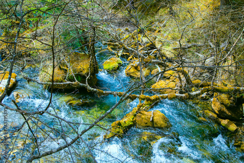 Jiuzhaigou Valley  Aba Qiang and Tibetan Autonomous Prefecture  Sichuan Province - Streams and waterfalls in the forest