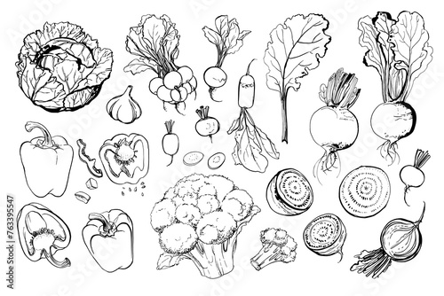 Vegetables. Fresh food. Tomato line drawn on a white background. Vector illustration. Coloring for adults 