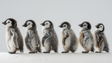 A group of penguins are standing in a line