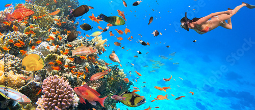 Underwater Tropical Corals Reef with colorful sea fish and Freediver. Marine life sea world. Tropical colourful underwater seascape. photo