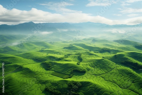 Aerial view of lush green fields and rolling hills