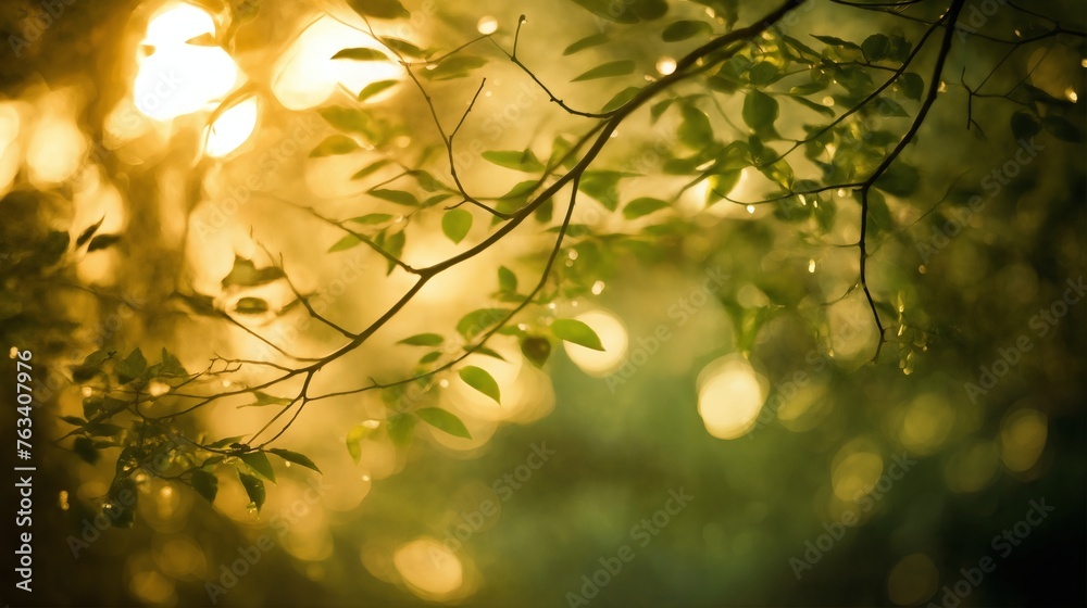 a beautiful summer landscape with leaves and grass in a forest glade at sunset, sunlight and beautiful nature a beautiful summer landscape with leaves and grass in a forest glade at sunset, sunlight and beautiful nature