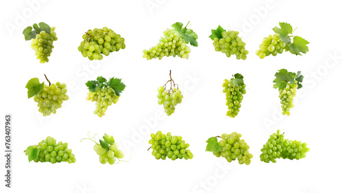 grape isolated. grapes set