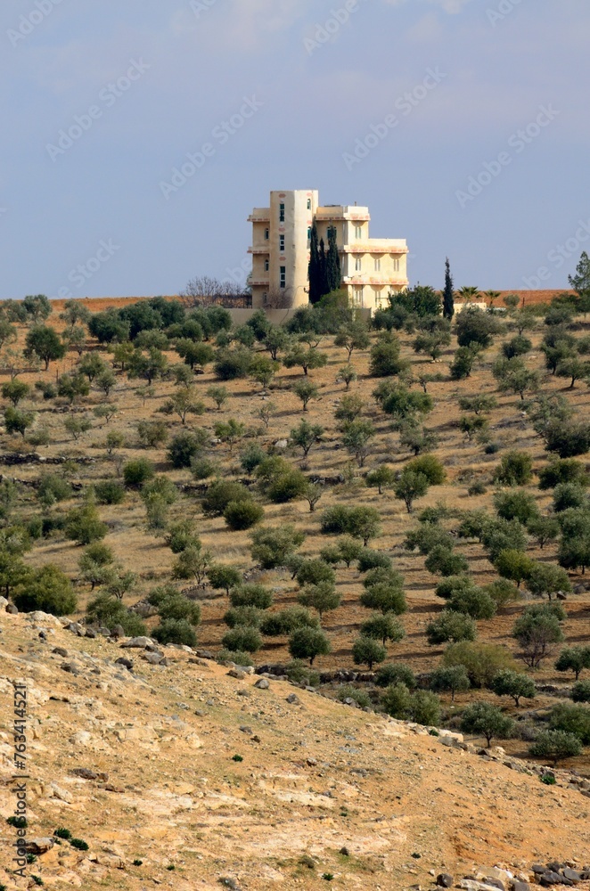 Edificio solitario entre olivos al sur de Ammán, Jordania