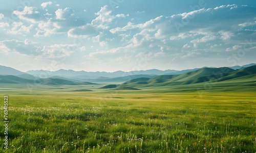 The grassland  on the clean background.