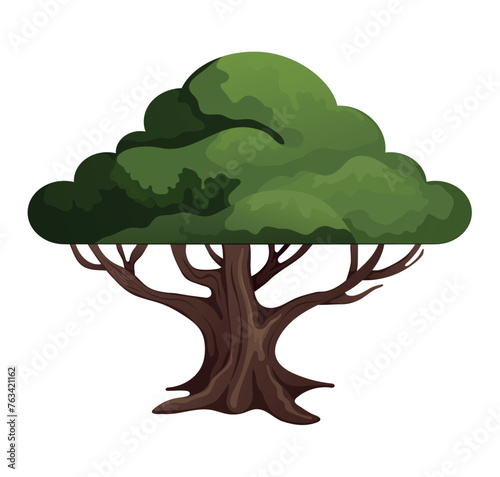 Image of a jungle tree. This illustration features an evergreen tree in a vibrant cartoon design, showing off its colorful style on a clean white background. Vector illustration.