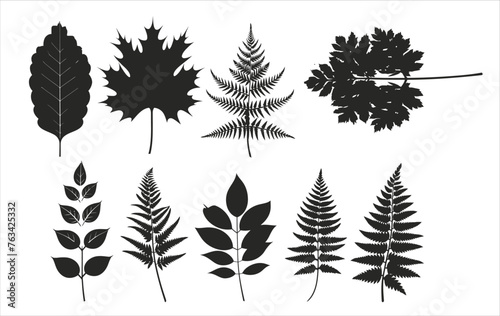 Black and white silhouette leaves  vector illustration of silhouettes with tropical leaves on white