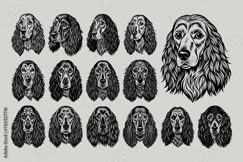 Front view english cocker spaniel dog head tshirt design vector set