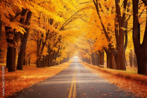 A road lined with vibrant autumn trees, creating a colorful canopy