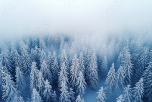 Aerial background of a snowy winter wonderland with evergreen forests