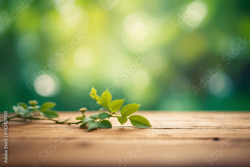 a close-up of green leaves on the ground  Flowers and Plants are nature s blur Background