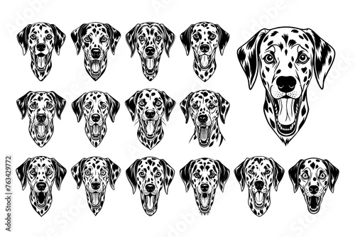 Set of hand drawn barking dalmatian dog head illustration design