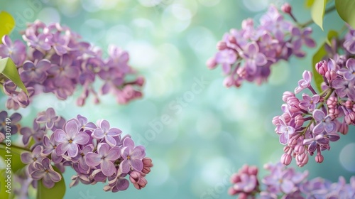 Lilac flowers double exposure background on greeting card template with space for text placement