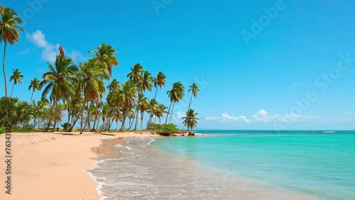 Dominican natural tropical beach landscape with golden sand. Palm trees lean over the calm wave. Turquoise ocean against a blue sky on a sunny summer day. Travel to a tropical paradise. photo