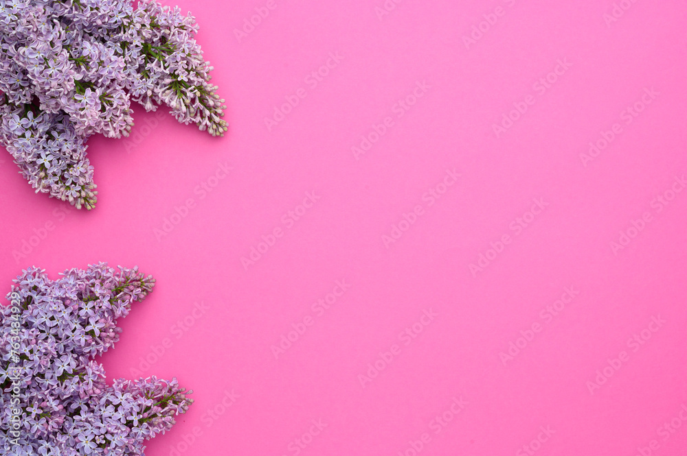 Layout of purple lilacs on pink background, top view. Natural flower arrangement, flat lay, copy space. Florist concept. Syringa vulgaris. Spring Flower. Flower card. Layout of purple lilacs on pink background, top view. Natural flower arrangement, flat lay, copy space. Florist concept. Syringa vulgaris. Spring Flower. Flower card.