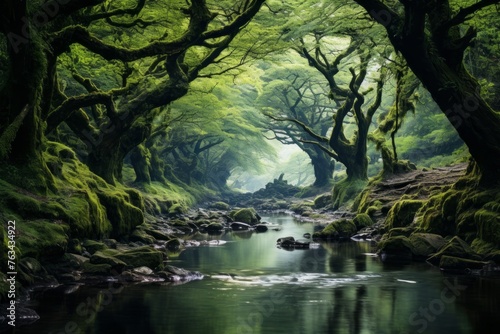 Enchanted forest with a gentle stream winding through ancient trees