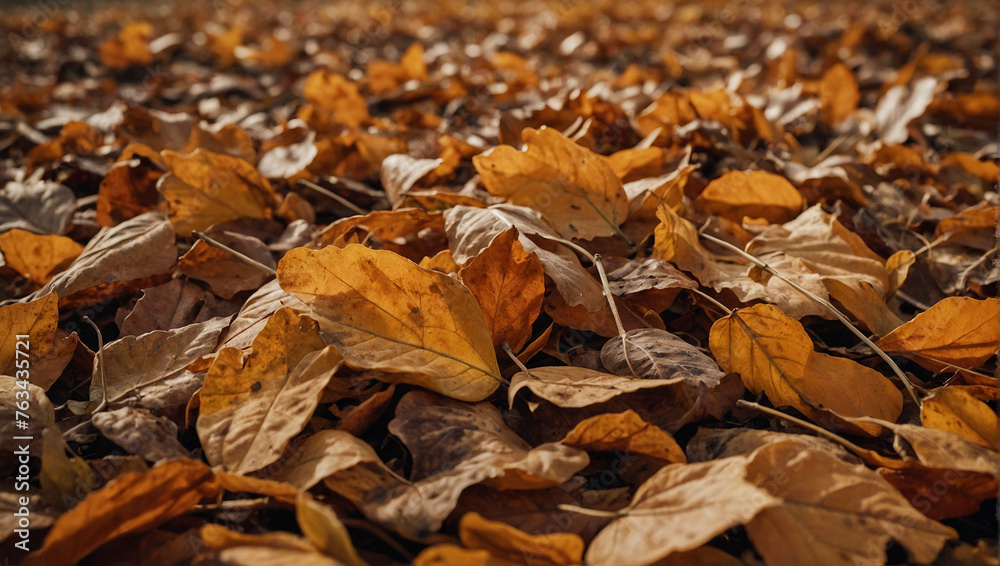 Fototapeta premium Autumn leaves background 