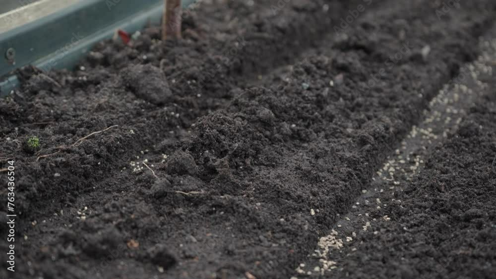 Seeding seeds in garden. Spring garden works. Seeding seeds in garden. Spring garden works.