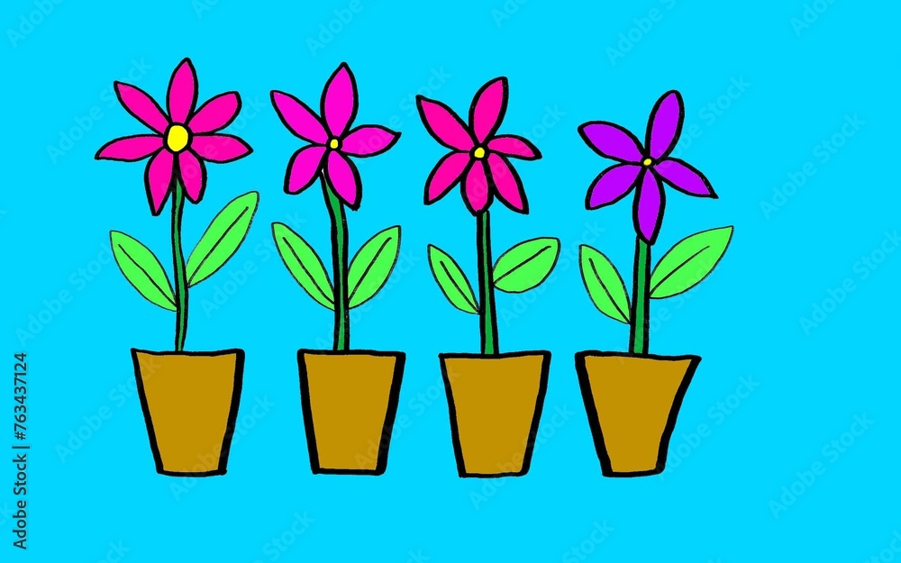 colorful flower plant in a pot in blue background
