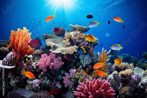 Vibrant coral reef teeming with marine diversity
