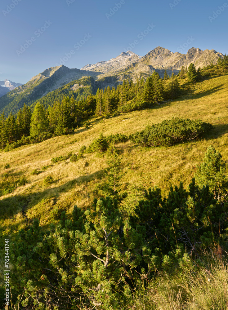 Obraz premium Blick vom Plattenkogel ins Krimmler Achental, Hochkrimml, Venediger Gruppe, Hohe Tauern, Salzburg, Österreich