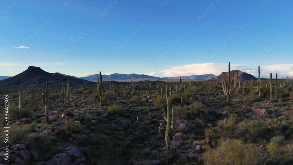 Arizona Sonoran Desert Landscape Late Afternoon Near Phoenix 