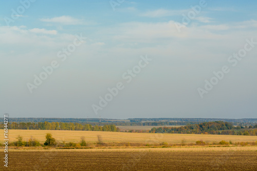 distant landscape of field and forests