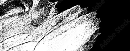 Vector brush sroke texture. Distressed uneven grunge background. Abstract distressed vector illustration. Overlay over any design to create interesting effect and depth. Black isolated on white. EPS10