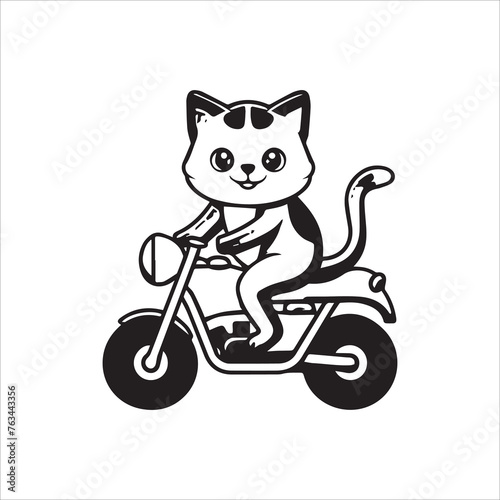 cute cat riding bike