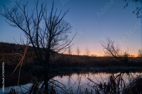 tree on the bank of dusk sky