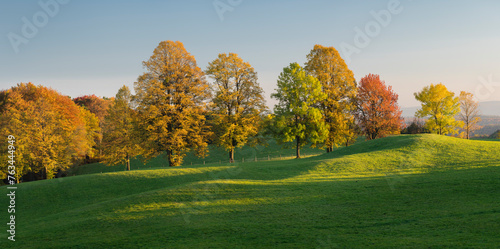 herbstlich verfärbte Bäume im Wienerwald, Zoblhof, Niederösterreich, Österreich