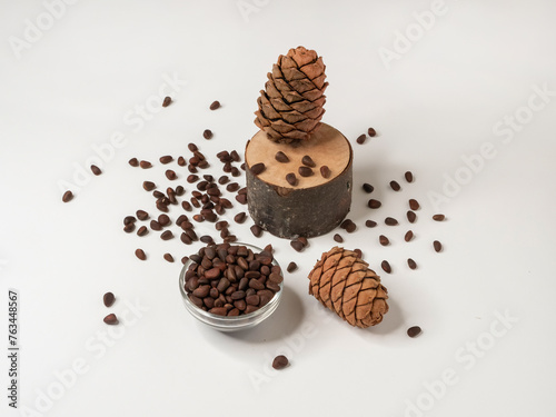 Cedar cones and nuts in shells on a white background.