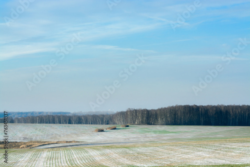 misty noon in the fields of wheat