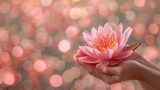 Close-up pink water lily or lotus flower in woman hands, with bokeh background with copy space. Happy Vesak - Buddha birthday