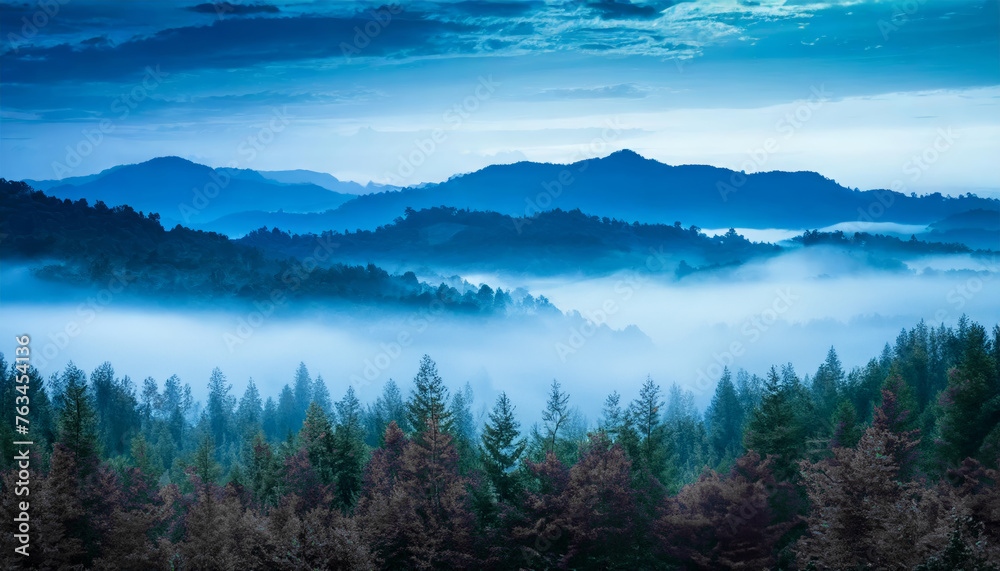 A foggy landscape