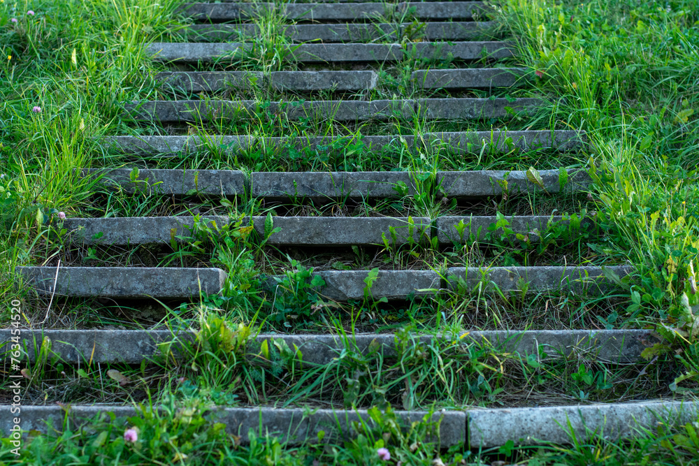 stairs in the garden stairs in the garden