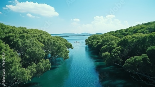 Aerial view of dense mangrove forest capturing co2 with lush green foliage and tropical wetlands