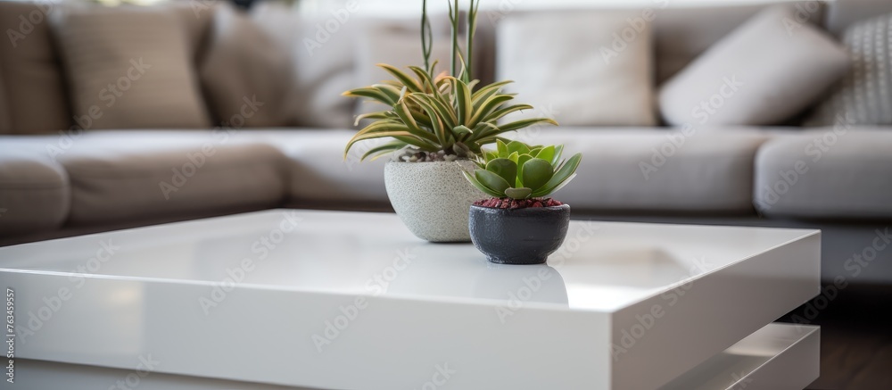 Two plants on white coffee table in living room