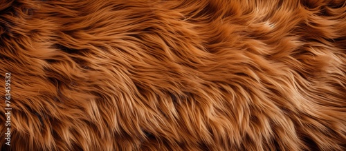 Close up of textured brown fur with black background
