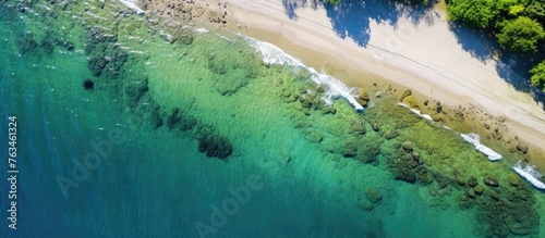 Aerial view of beach with sandy shore and blue ocean