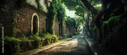 Narrow cobblestone path lined with trees