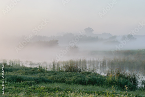 misty morning in the forest © Александр Арендарь